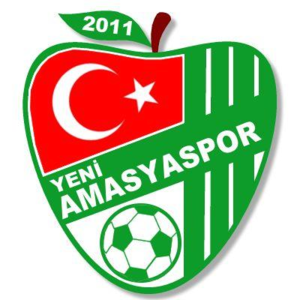 Yeni Amasya Spor